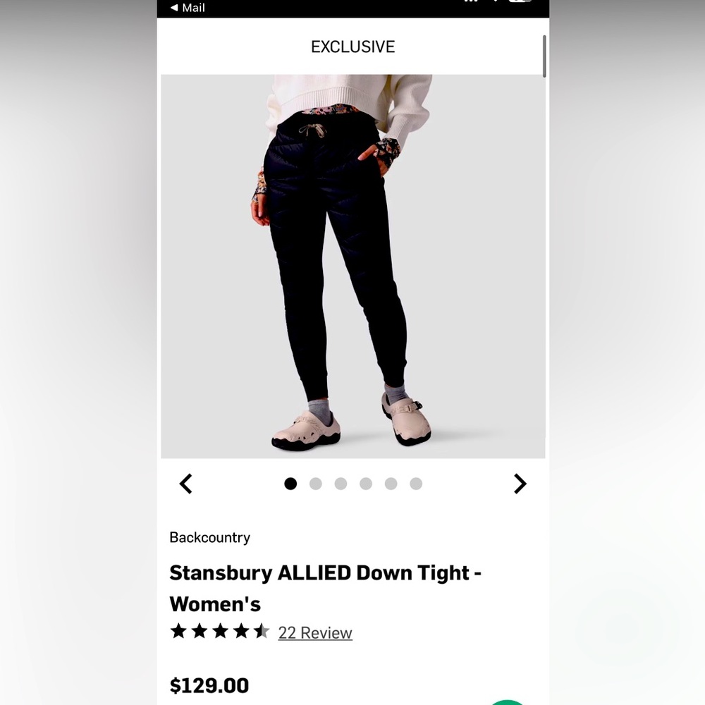 Backcountry stansbury allied down tight - small womens